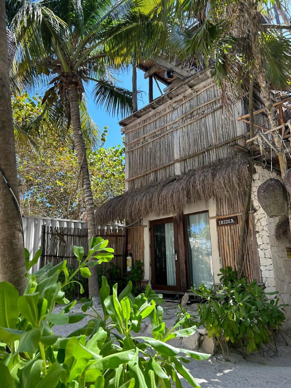 Alquimia Hotel Boutique Tulum Exteriér fotografie